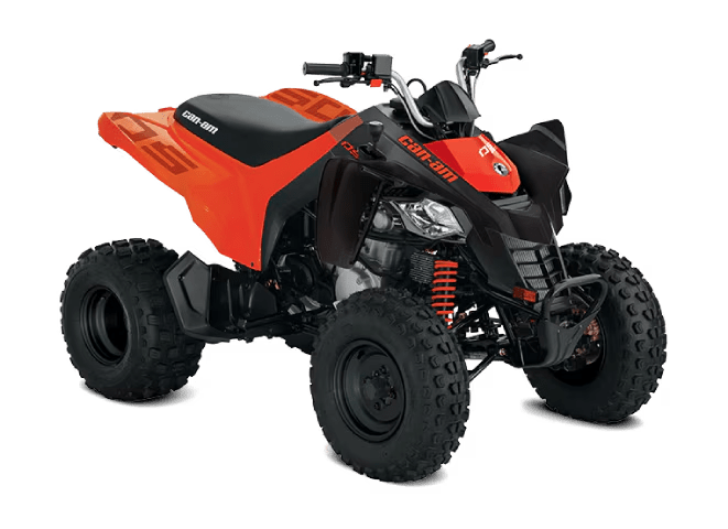 2026 Can-Am DS 250