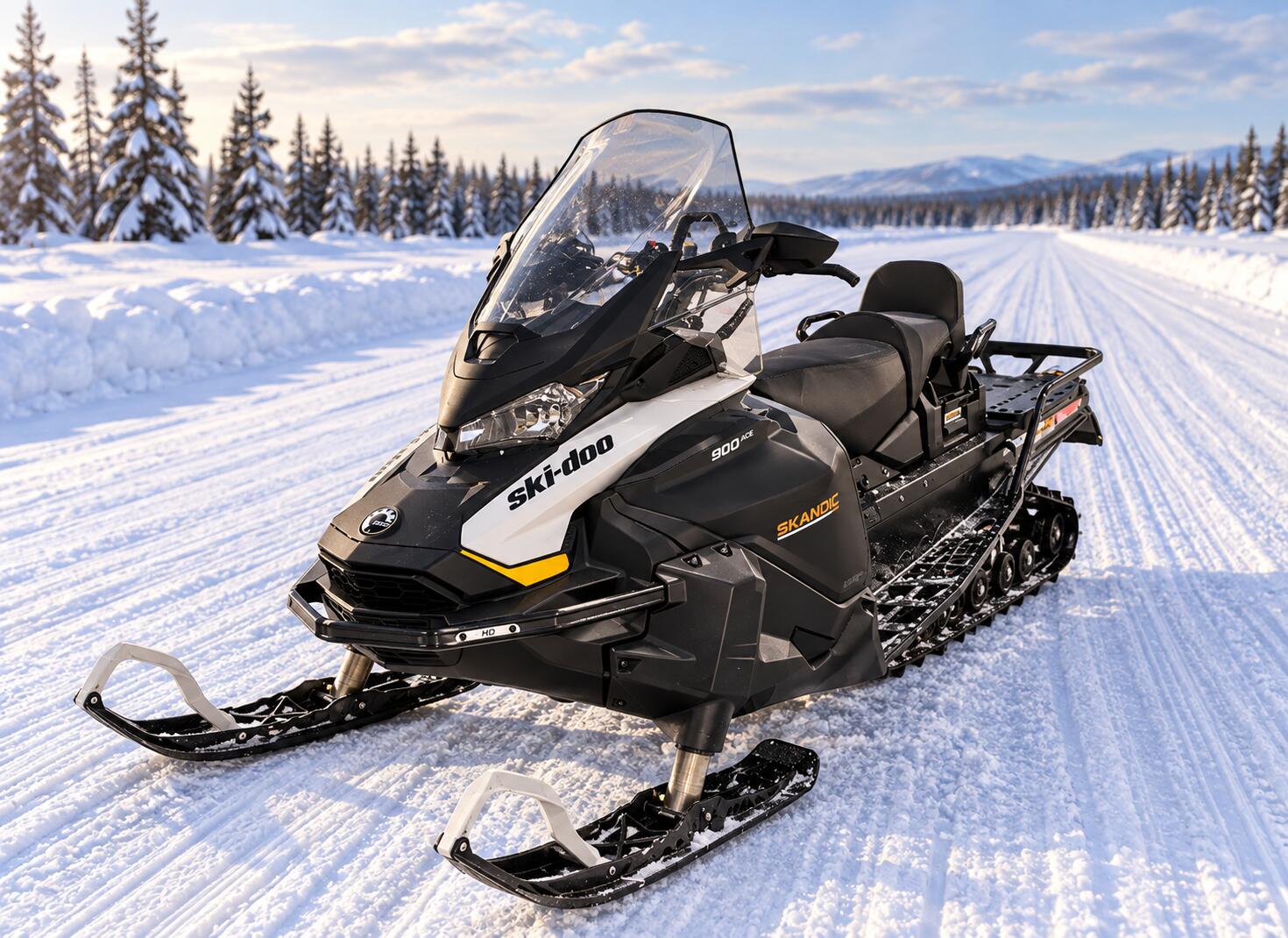 2026 Ski-Doo SKANDIC LE 900 ACE 24 15 ES