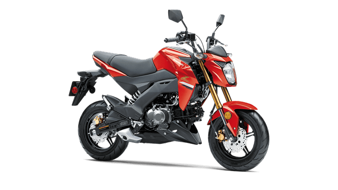 Kawasaki Z125 Pro Image