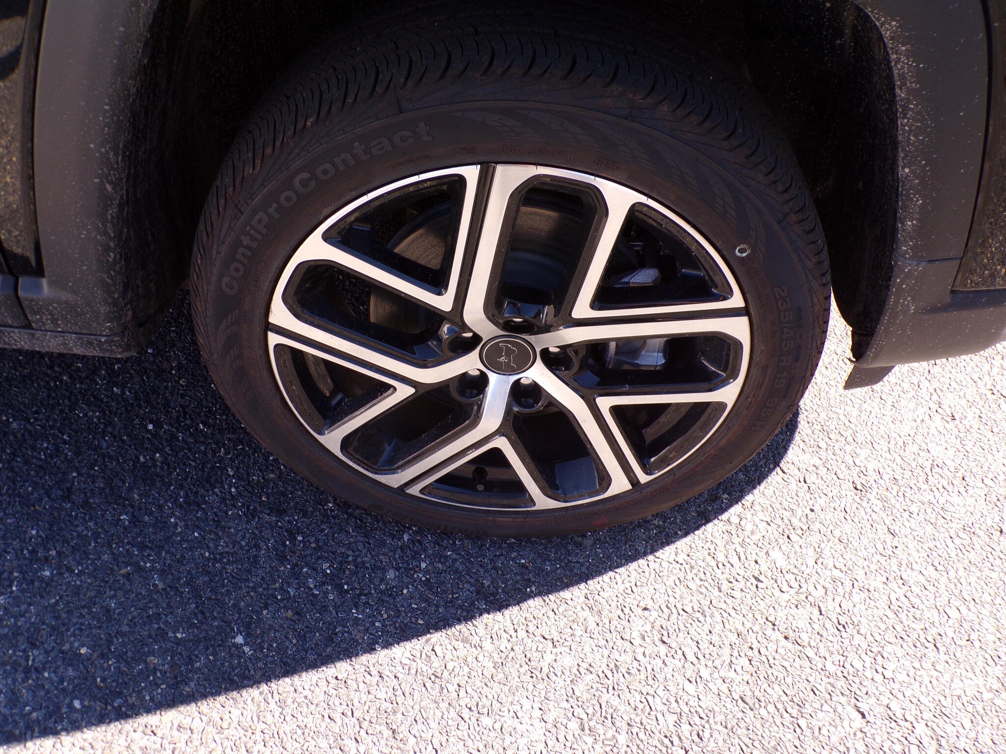 Photo 4
