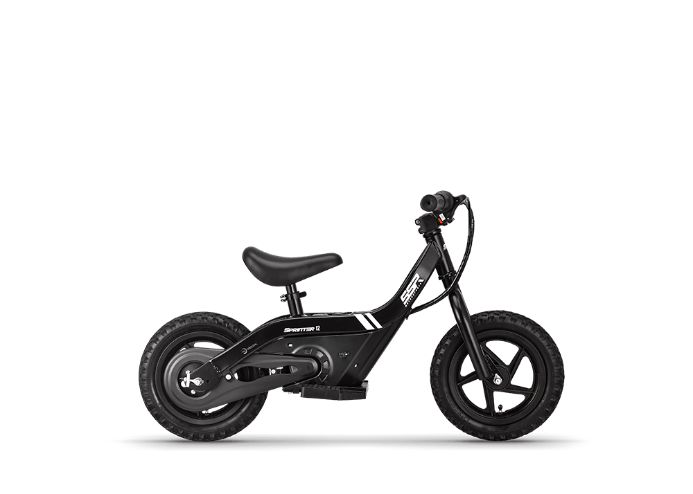 2025 SSR SPRINTER 12