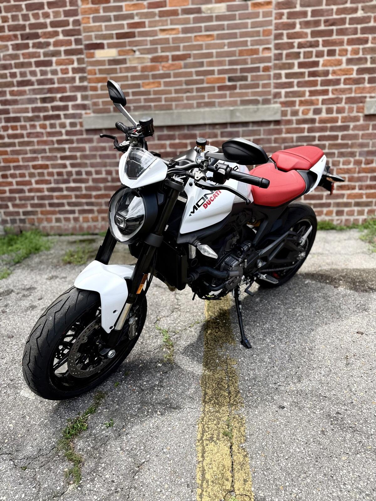 New 2024 Ducati MONSTER PLUS 