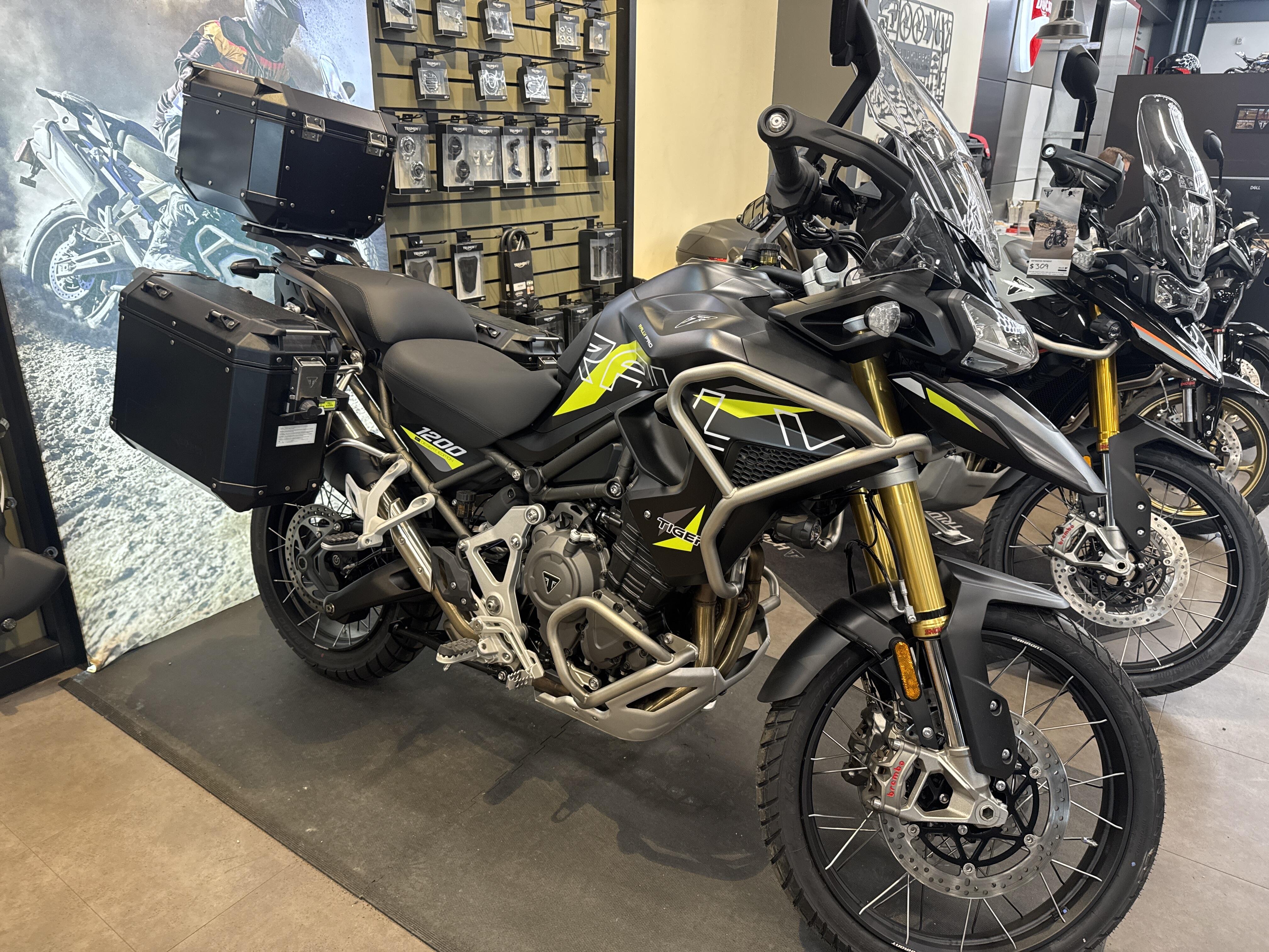 2026 Triumph TIGER 1200 RALLY PRO DESERT EDITION