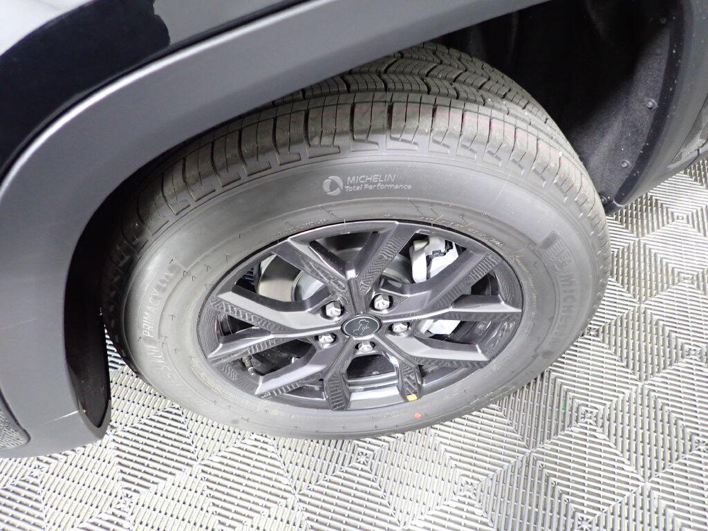 Photo 41
