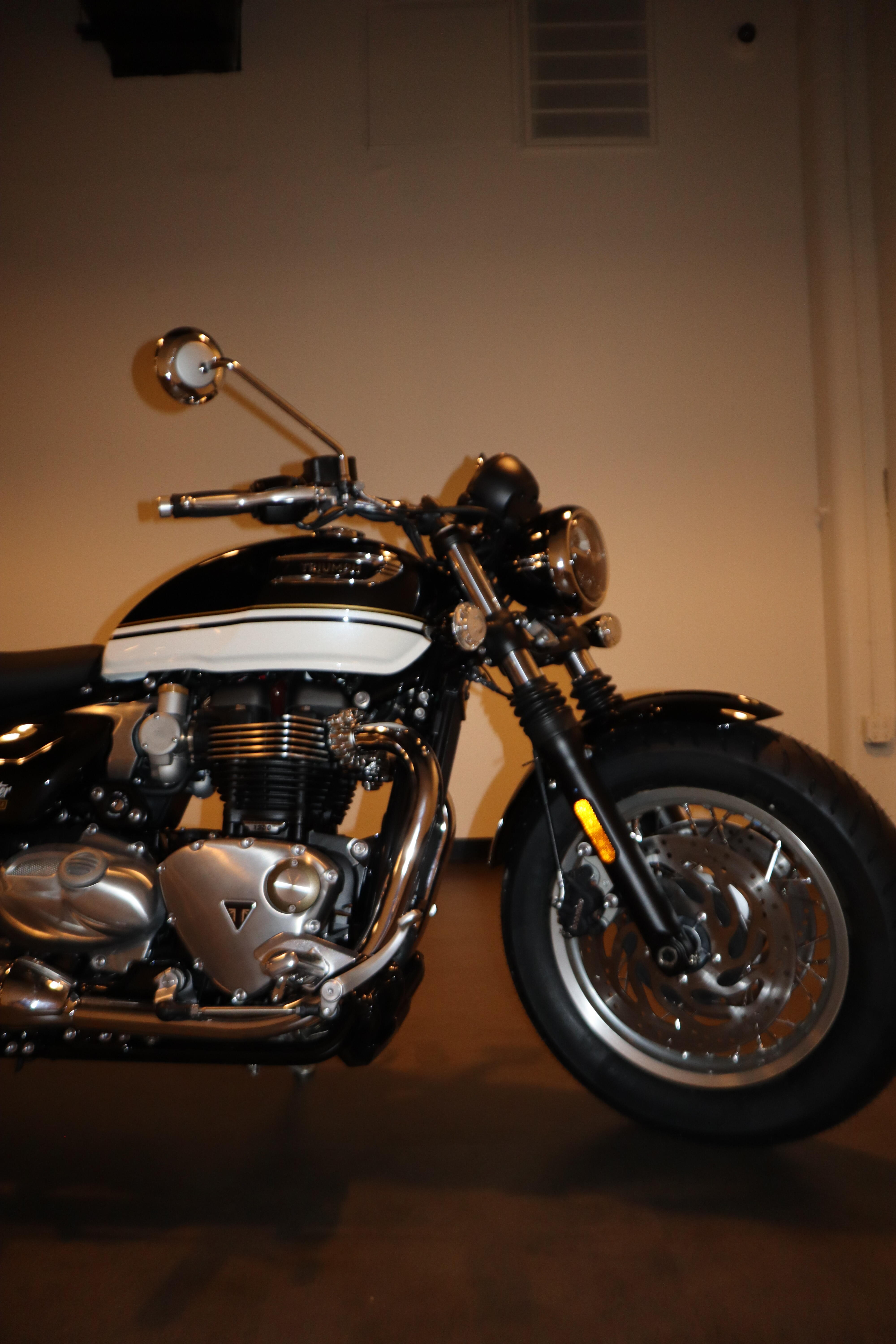 2026 Triumph Speedmaster