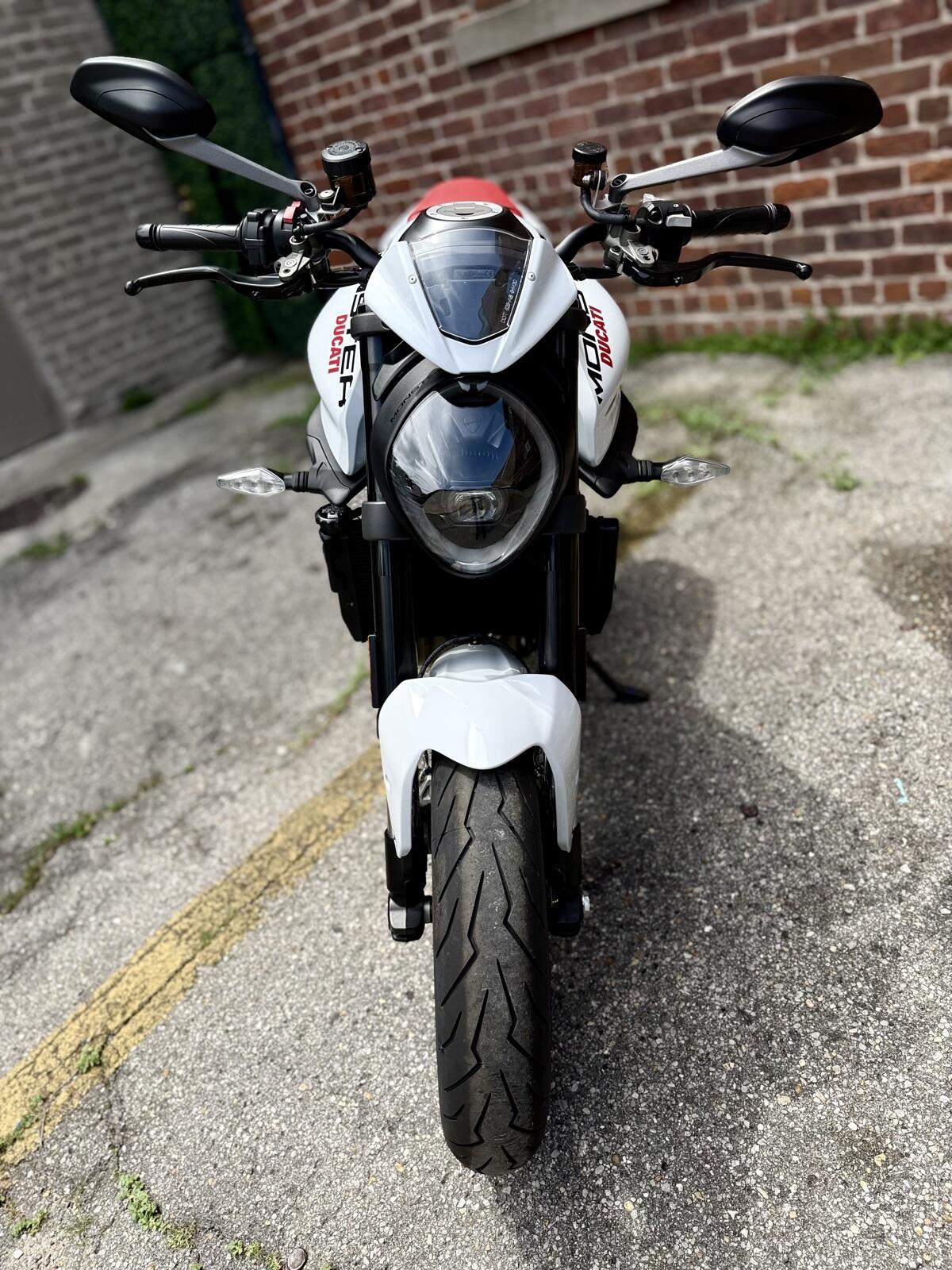 New 2024 Ducati MONSTER PLUS 