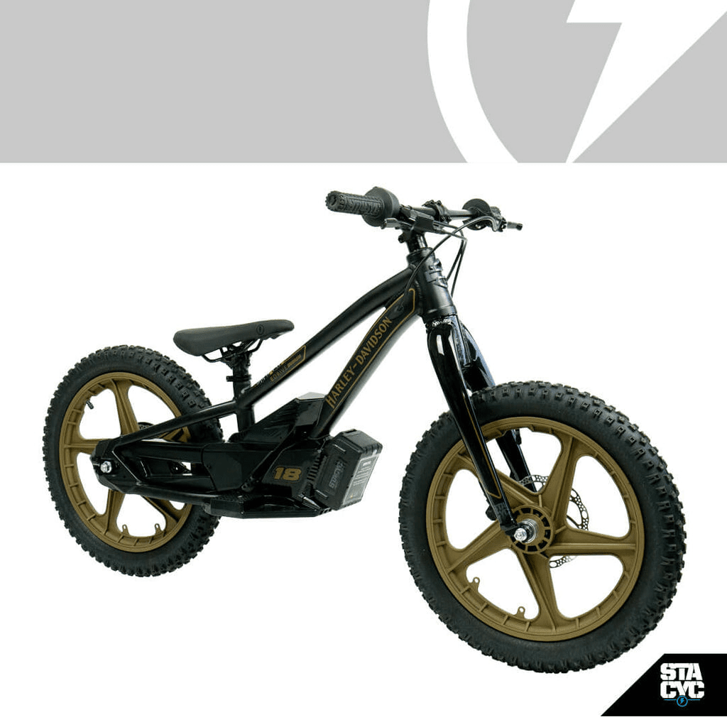 2025 Stacyc H-D 18eDRIVE