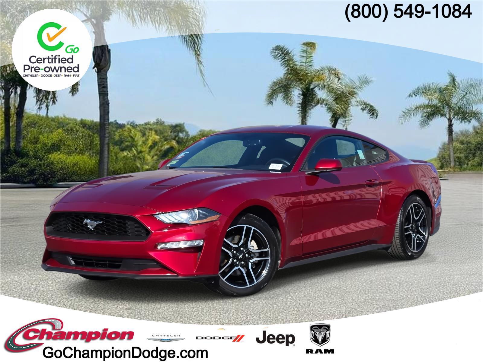 2019 Ford Mustang EcoBoost's photo