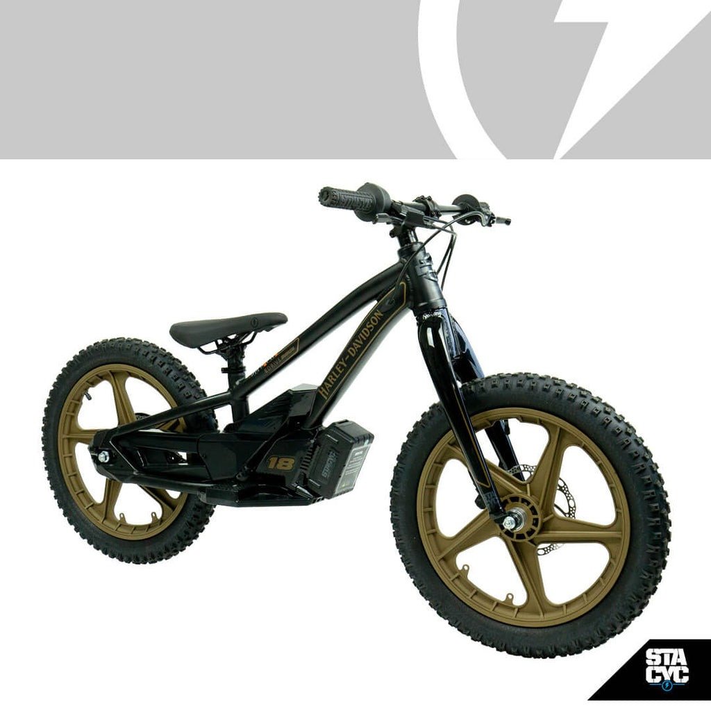 2024 Stacyc H-D 18eDrive