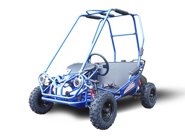 2025 Trailmaster Mini XRS+
