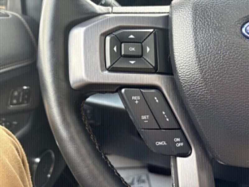 2019 Ford Expedition MAX PlatinumImage 22