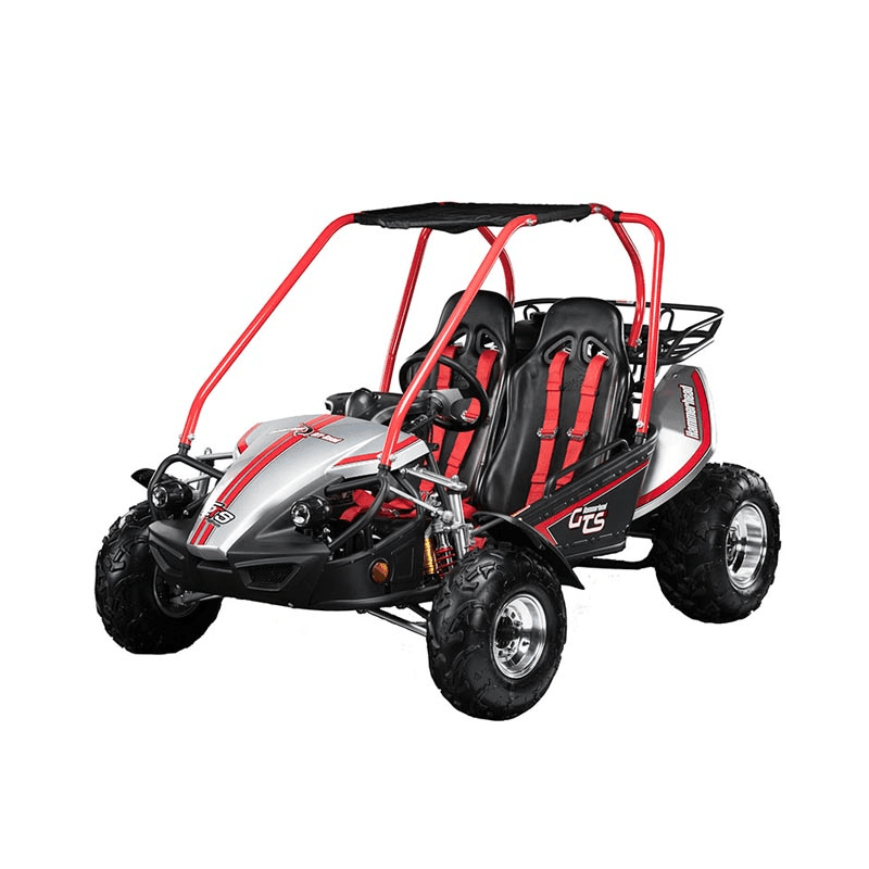 2025 Hammerhead GTS Platinum