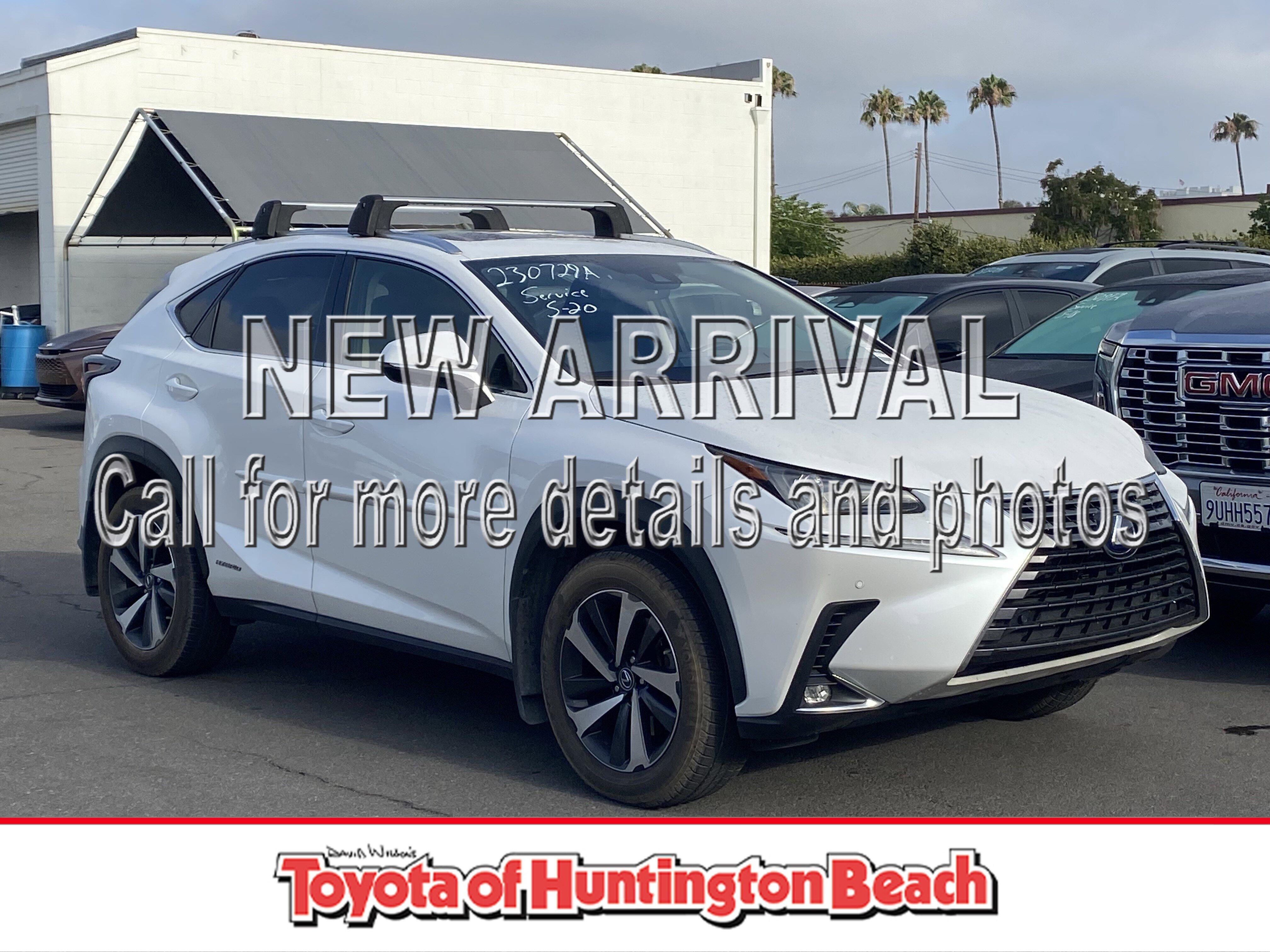 2021 Lexus NX 350h 300h AWD's photo