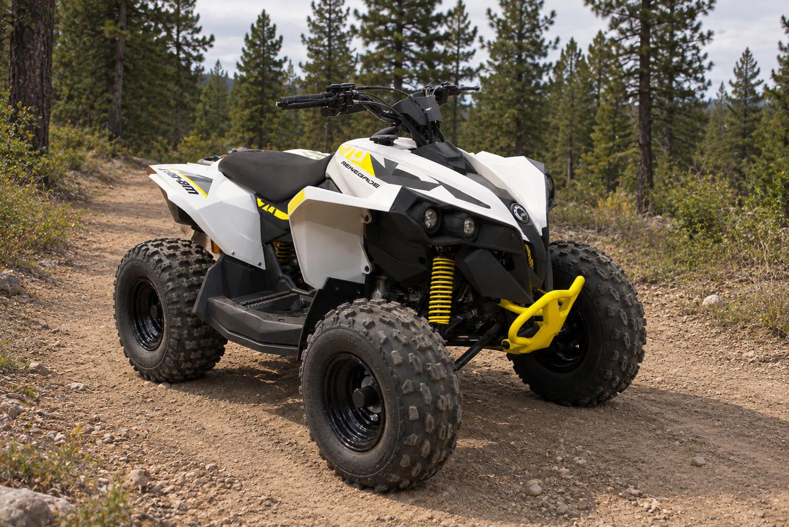 2026 Can-Am REN 70 EFI