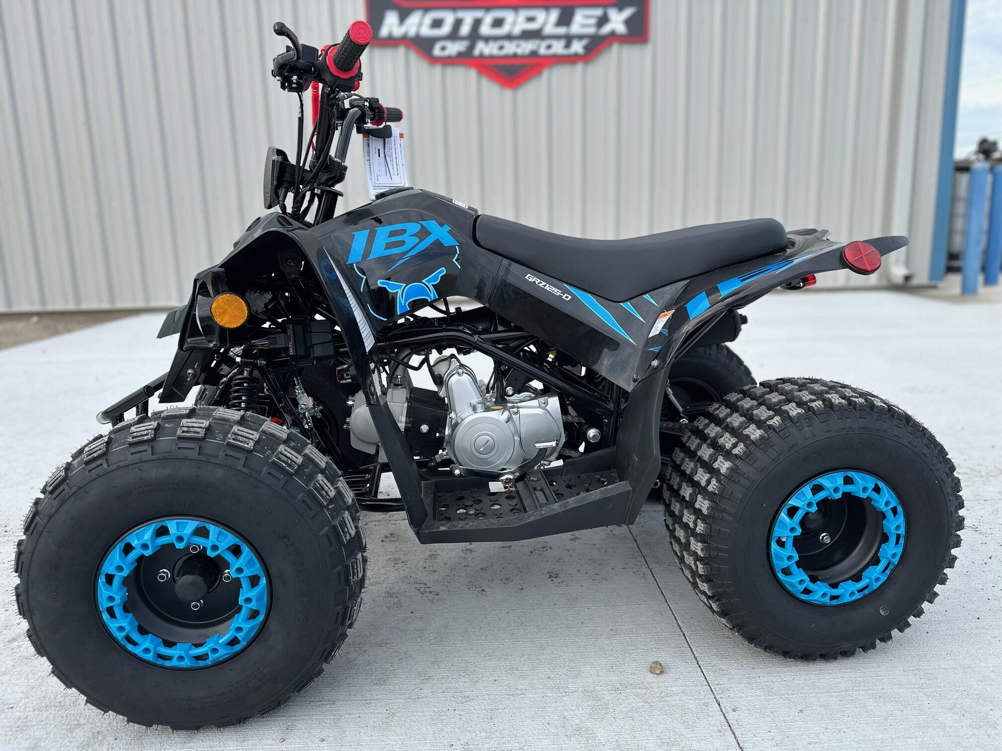 2026 Ice Bear Powersports GRZ125-D