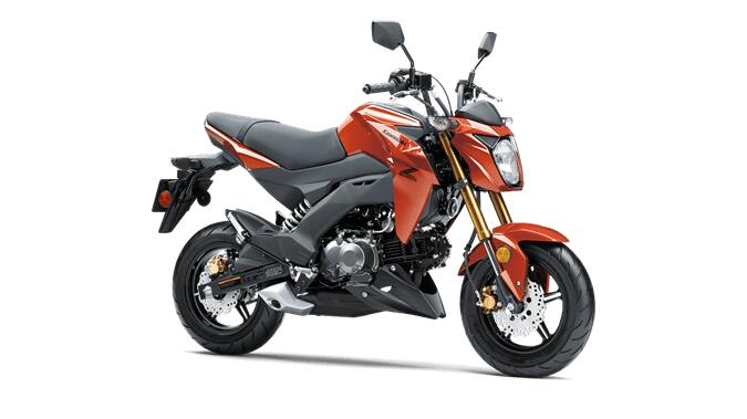 2025 Kawasaki Z125 PRO