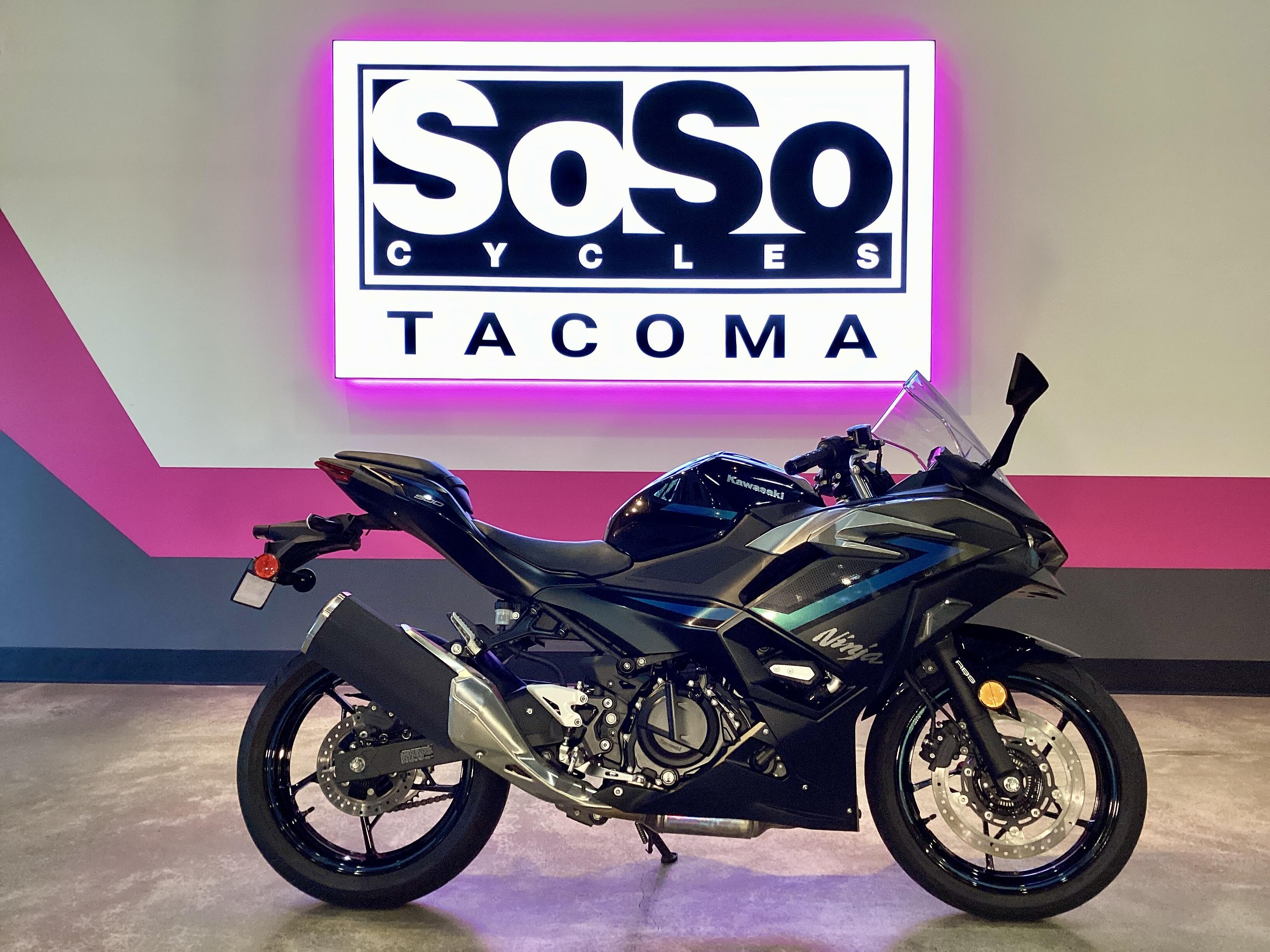 2025 Kawasaki Ninja 500 Se Abs