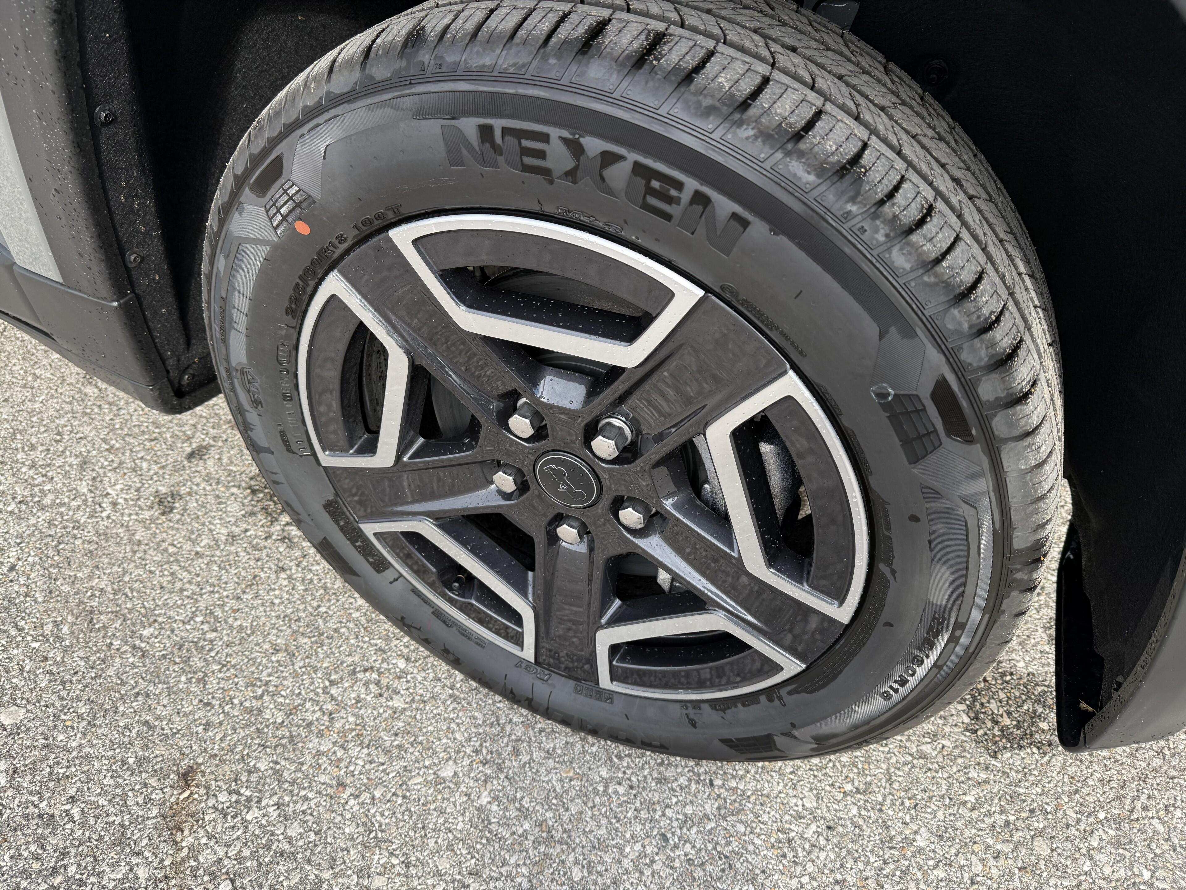 Photo 19