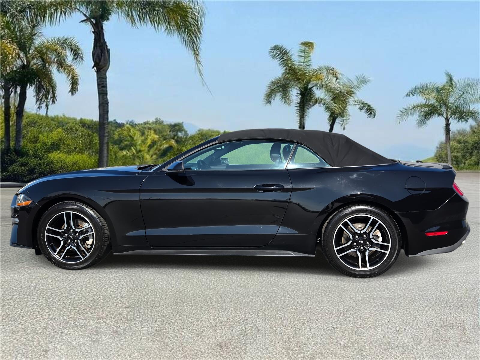 Used 2020 Ford Mustang EcoBoost Premium with VIN 1FATP8UH2L5112108 for sale in Downey, CA