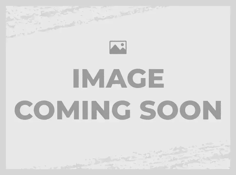 Kawasaki KLX 300R Image