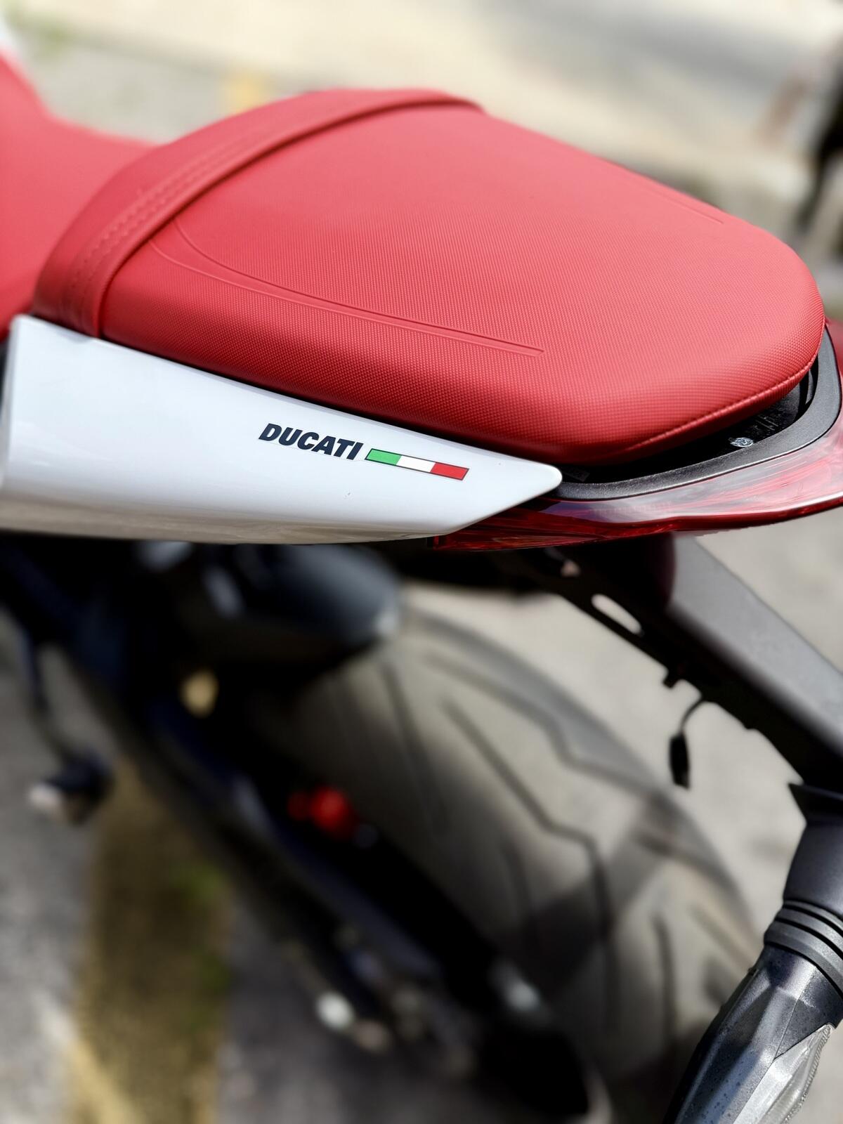 New 2024 Ducati MONSTER PLUS 