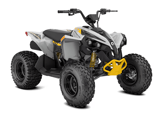 2026 Can-Am Renegade 110 EFI