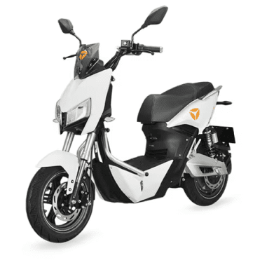 2025 Ziggy Z3T