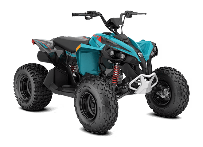 2026 Can-Am RENEGADE 110 EFI