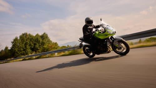 Tiger Sport 660 Models