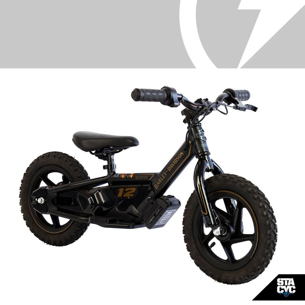 2024 Stacyc H-D 12eDrive